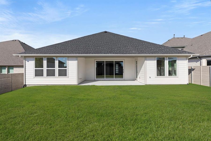 26. 3905 Mescalbean - Back