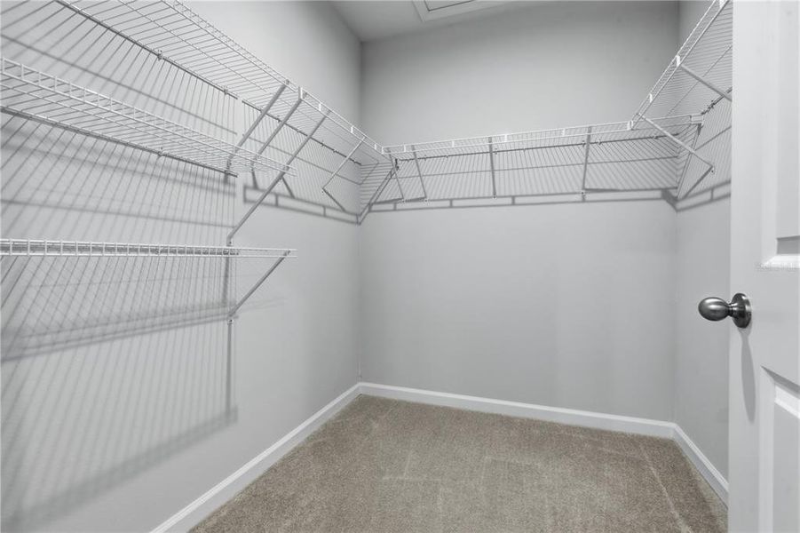 Spacious, unfurnished interior of a new home in , New Port Richey (Image 24).