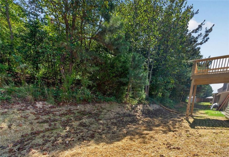 Natural landscape and outdoor views near  in Gainesville (Image 53).