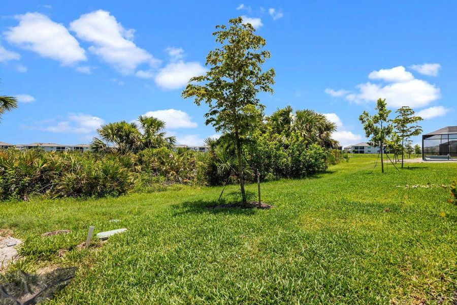 51-web-or-mls-941A6546