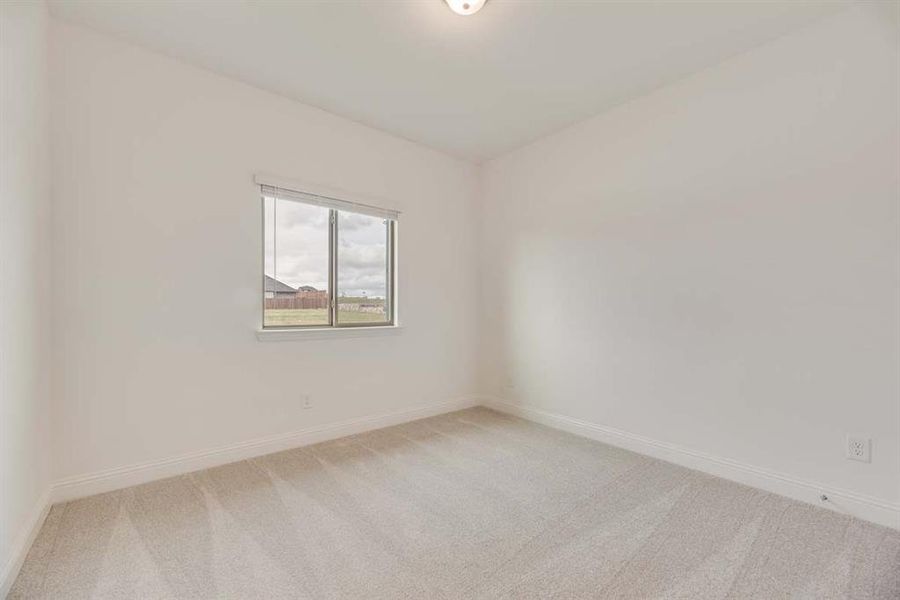 17_Mulberry_Representative Photo