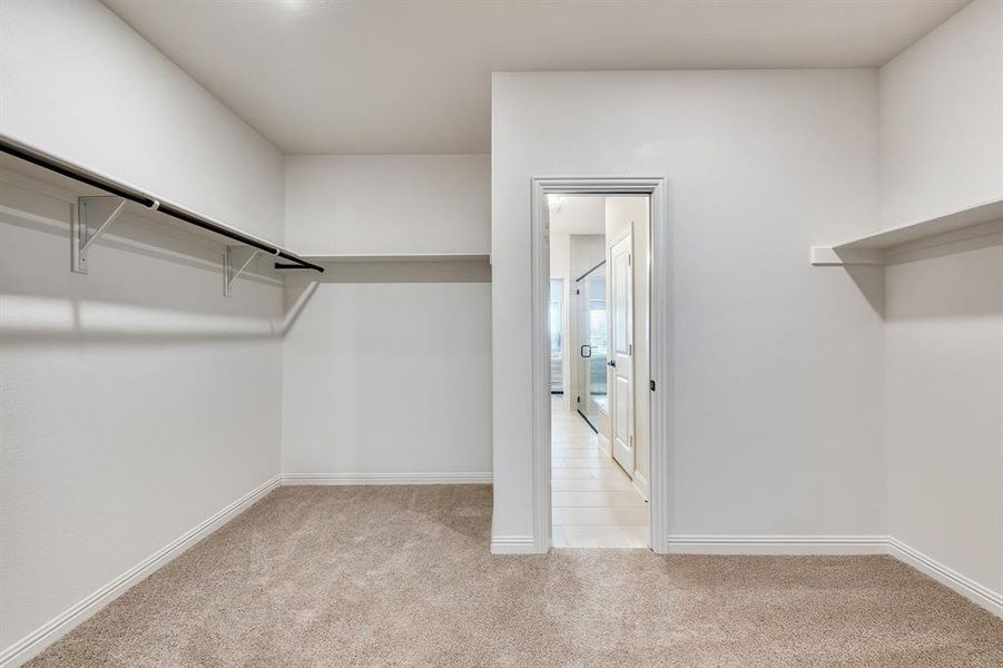 Spacious closet featuring light colored carpet Spacious closet featuring light colored carpet