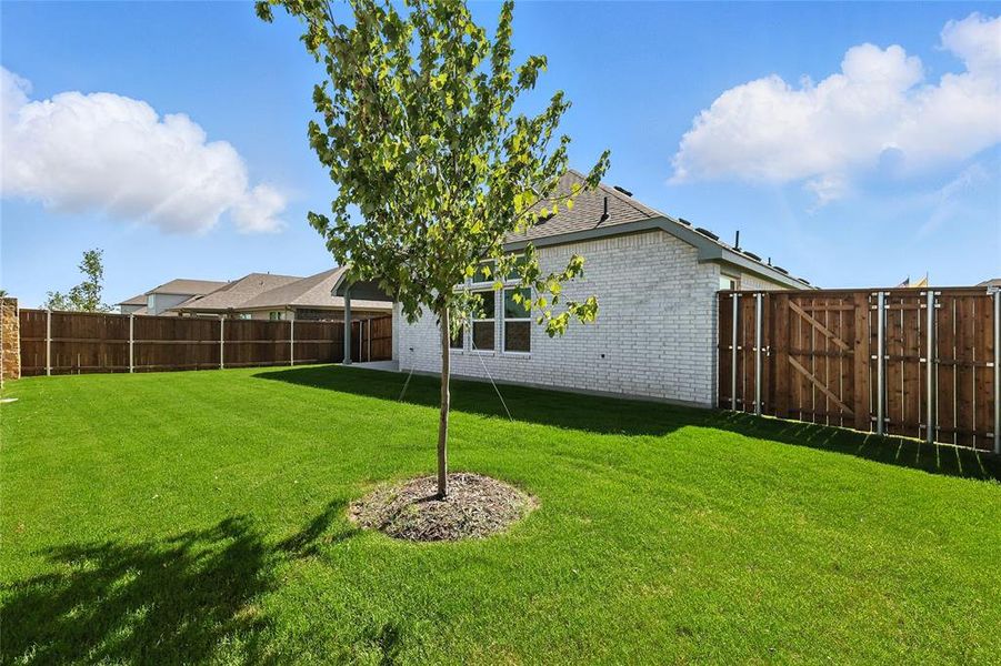 Fenced backyard with a gate Fenced backyard with a gate