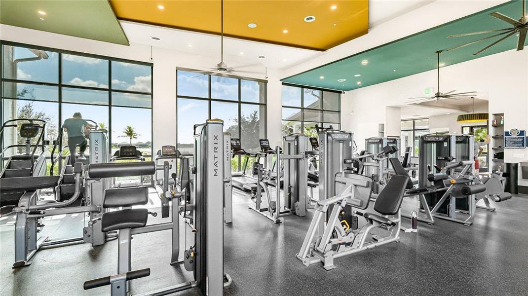 Community amenities in , Sarasota (Image 36). Community amenities in , Sarasota (Image 36).