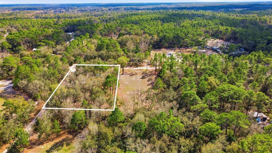 Natural landscape and outdoor views near  in Dunnellon (Image 30).