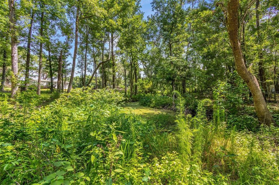 Natural landscape and outdoor views near  in Brooksville (Image 35).