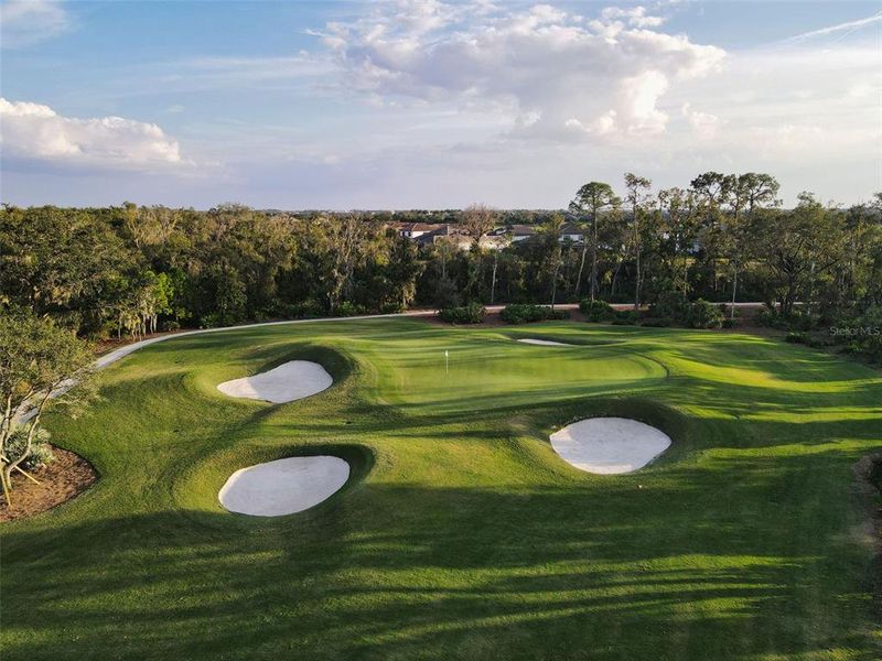 Natural landscape and outdoor views near  in Lakewood Ranch (Image 75).