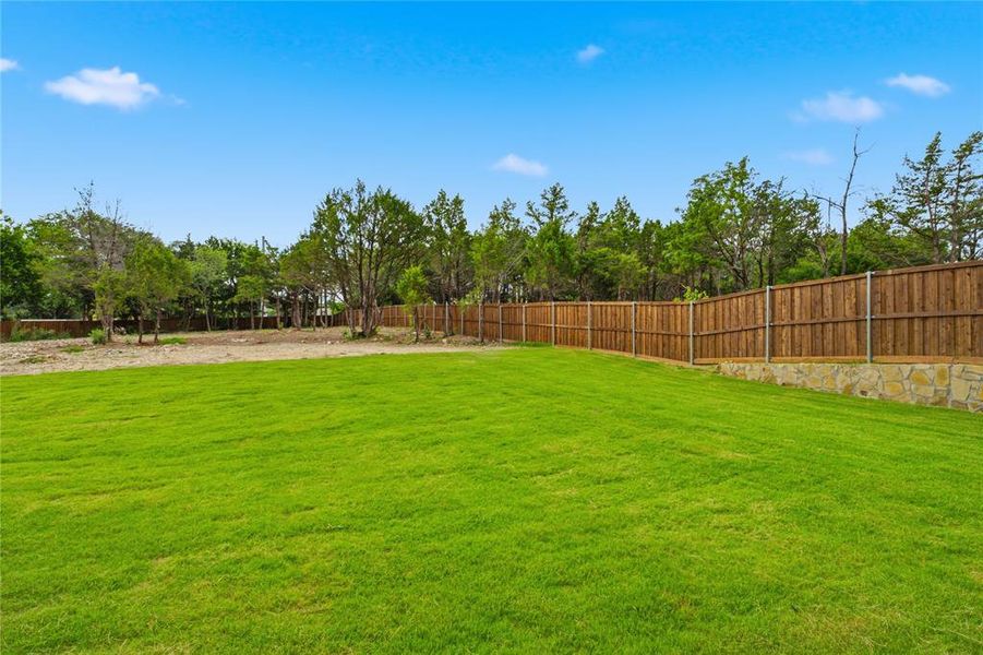 Backyard Backyard