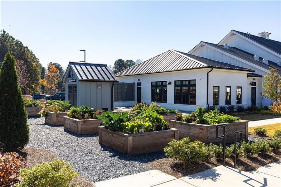 Community amenities in Soleil Belmont Park, Canton (Image 19).