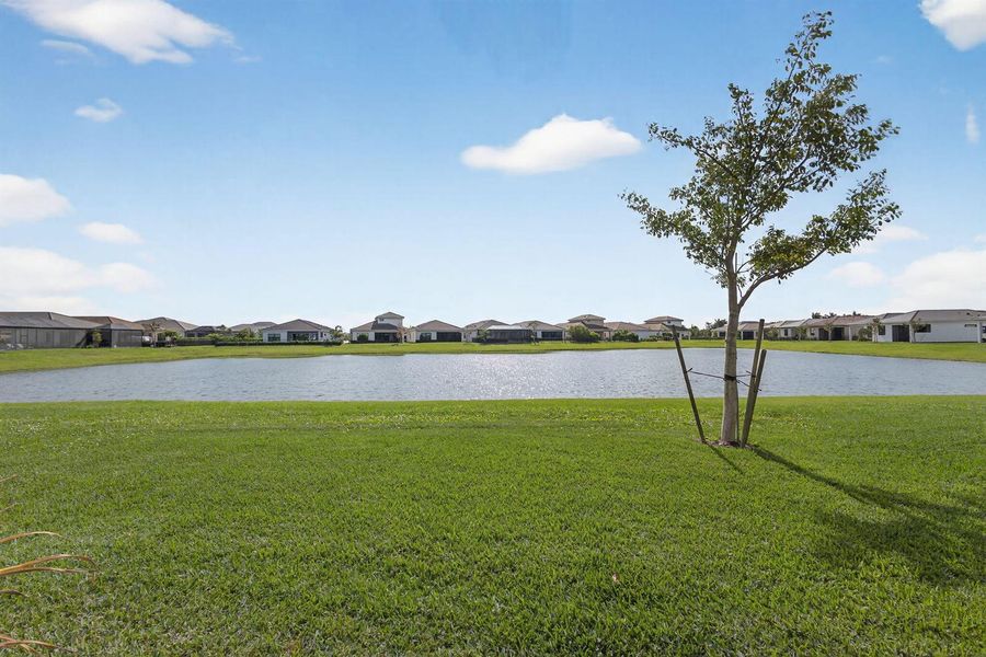 41-web-or-mls-5D1A4508 41-web-or-mls-5D1A4508