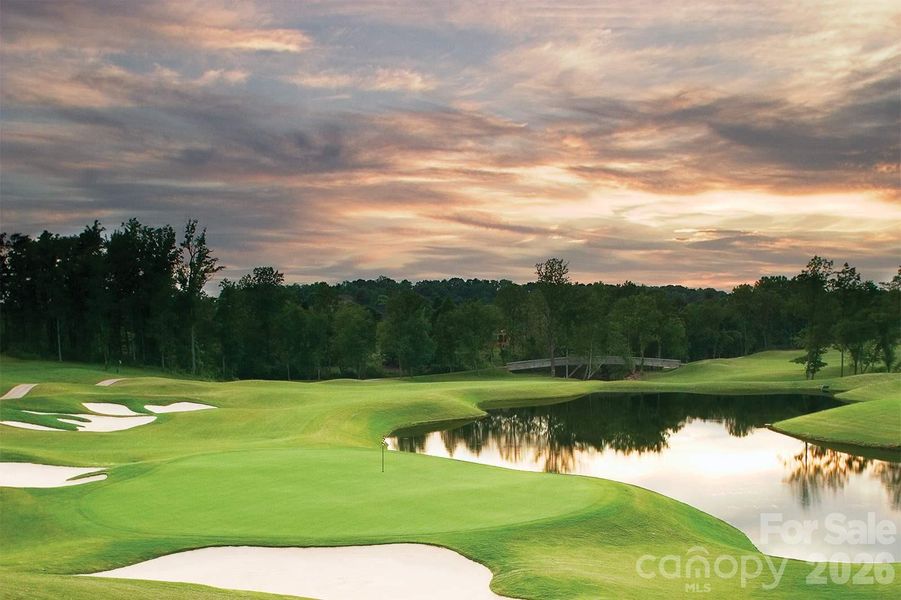 Natural landscape and outdoor views near  in Conover (Image 32).