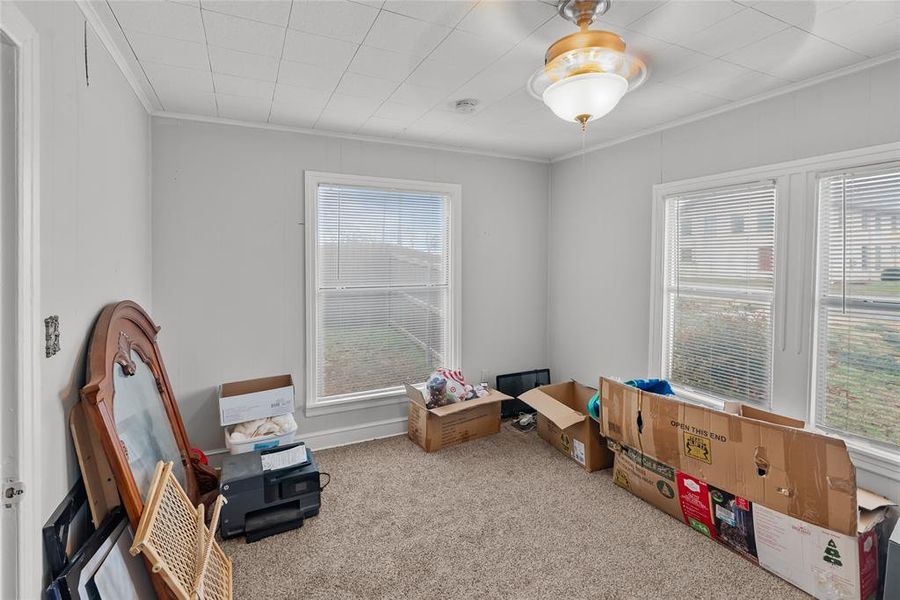 Rec room with ornamental molding, light colored carpet, and a healthy amount of sunlight