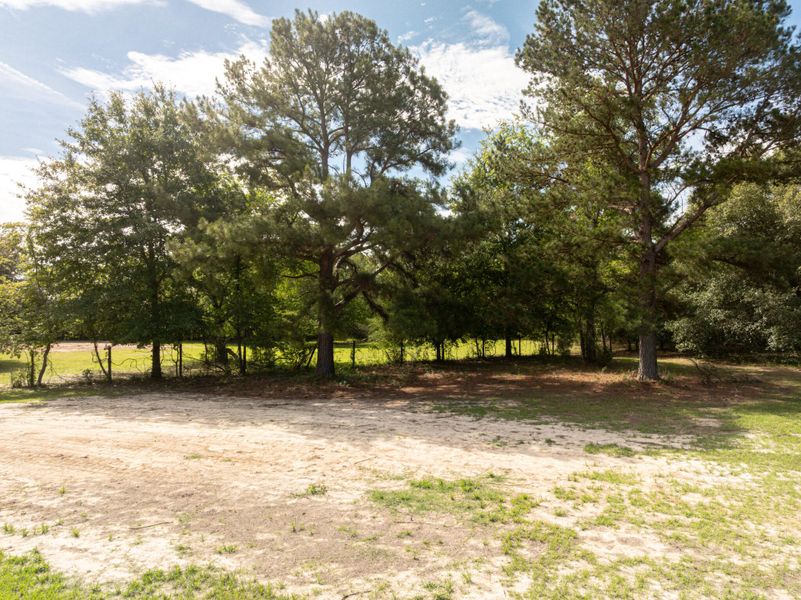 Natural landscape and outdoor views near in Eutawville (Image 26). Natural landscape and outdoor views near in Eutawville (Image 26).