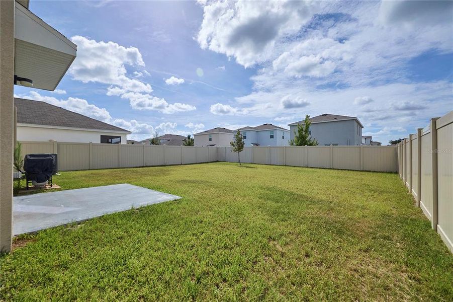 Exterior details and patio area of a home in Westgate at Avalon Park, Wesley Chapel (Image 27).