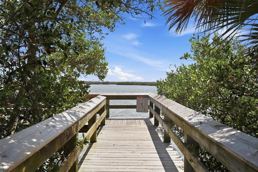 Natural landscape and outdoor views near  in New Smyrna Beach (Image 48).
