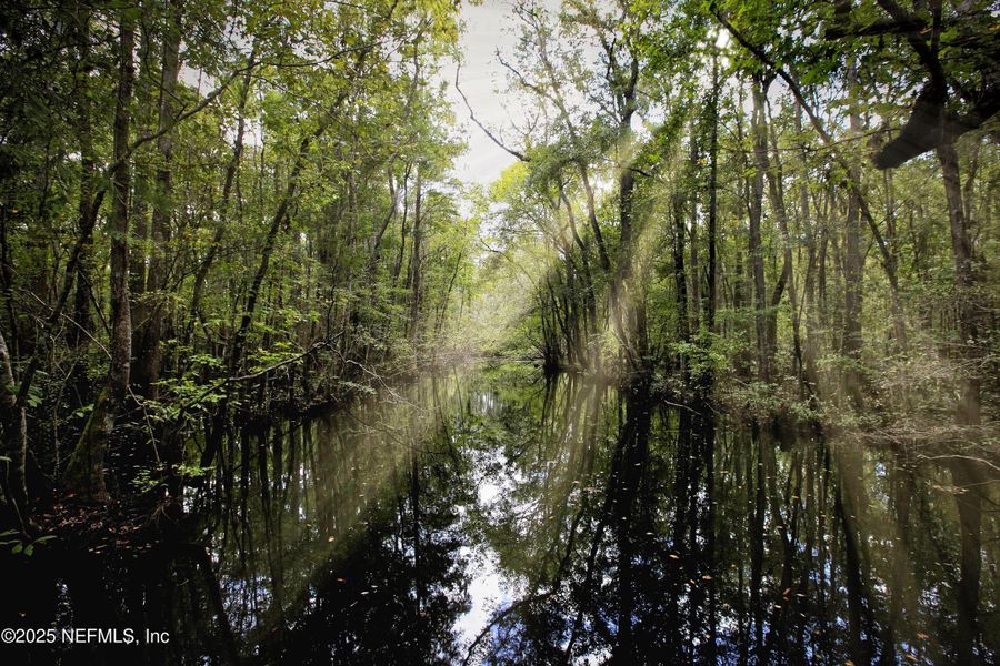 Natural landscape and outdoor views near Trailmark in St. Augustine (Image 52).
