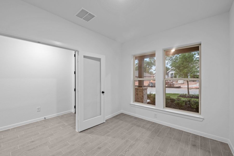 The Holly - Study The Holly - Study