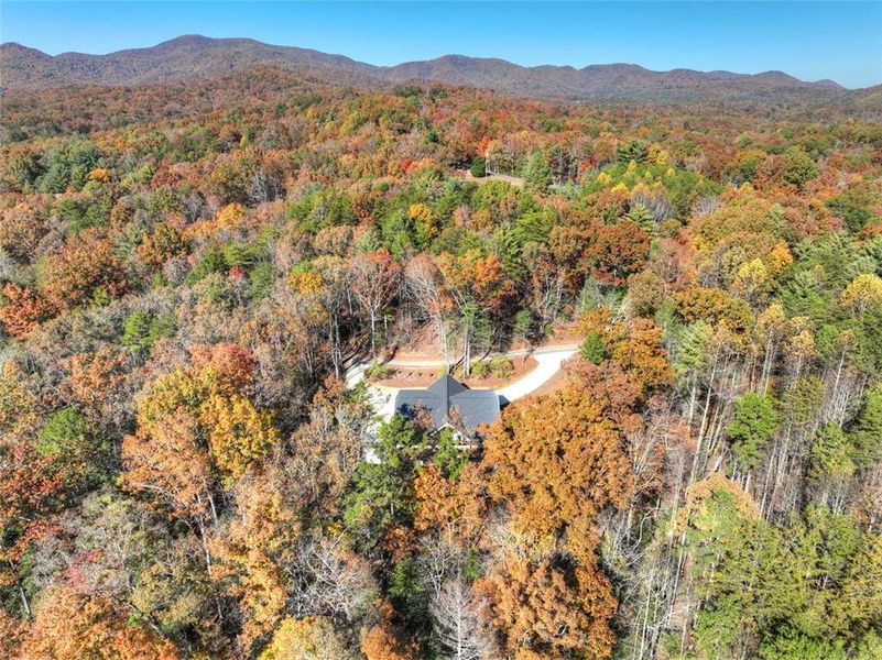 Natural landscape and outdoor views near  in Ellijay (Image 34).
