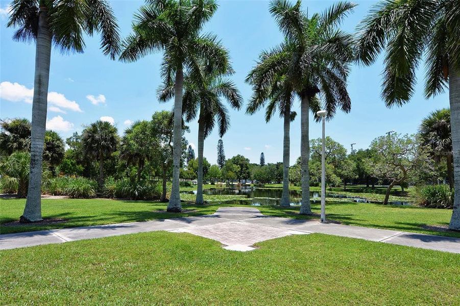 Natural landscape and outdoor views near  in Sarasota (Image 33).