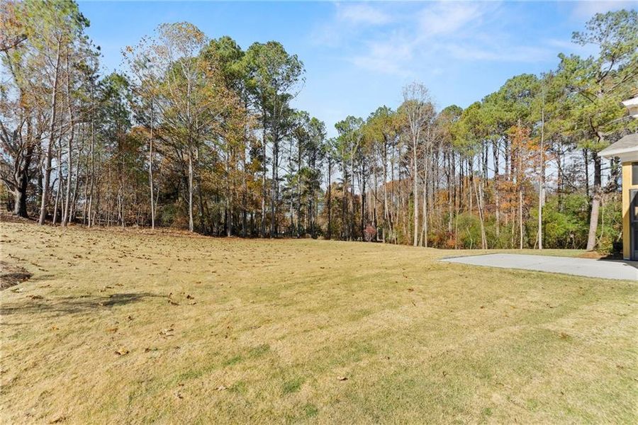 Natural landscape and outdoor views near  in Gainesville (Image 67).