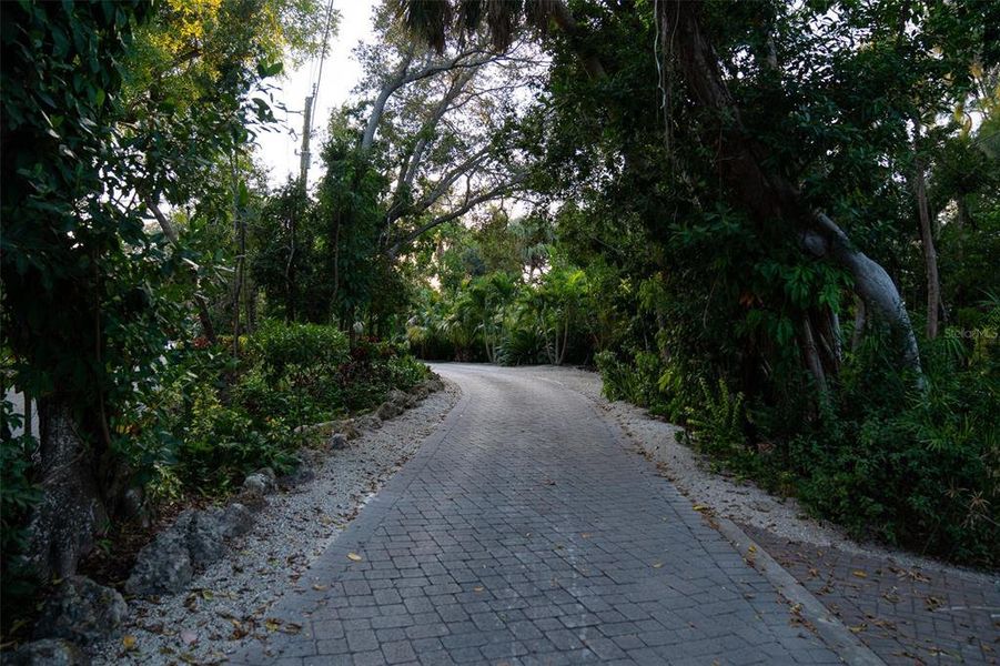 Natural landscape and outdoor views near  in Sarasota (Image 15).