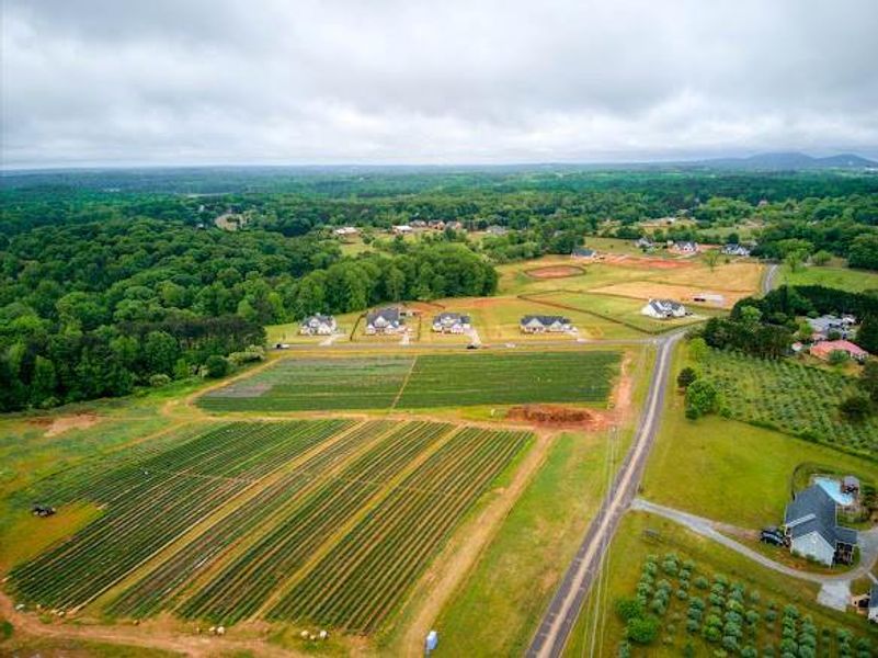 Site preparation for new homesites in , Cumming (Image 42).