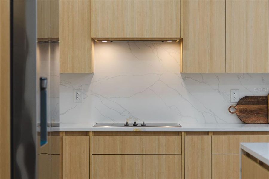 Close-up of interior finishes inside a home in , Tampa (Image 22).