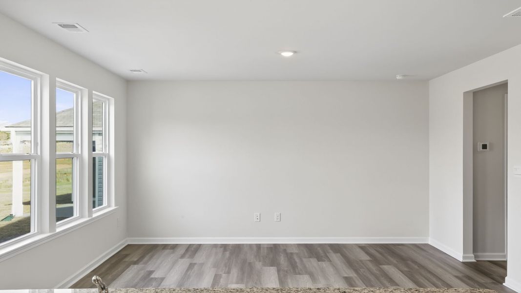 Spacious, unfurnished interior of a new home in Gibson Grove, Laurens (Image 21).