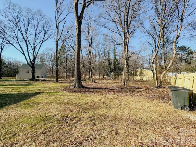 Natural landscape and outdoor views near  in Huntersville (Image 35).