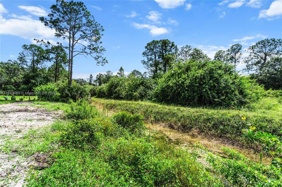 Natural landscape and outdoor views near  in Lehigh Acres (Image 40).