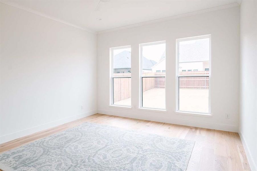 Spare room with light wood-type flooring, a wealth of natural light, and crown molding