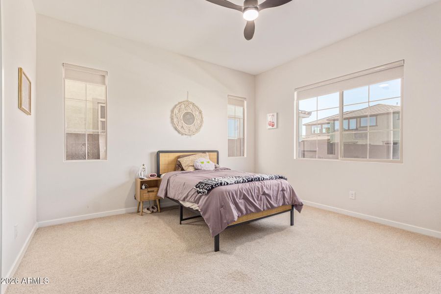 Bedroom 3 (downstairs w/ bath)