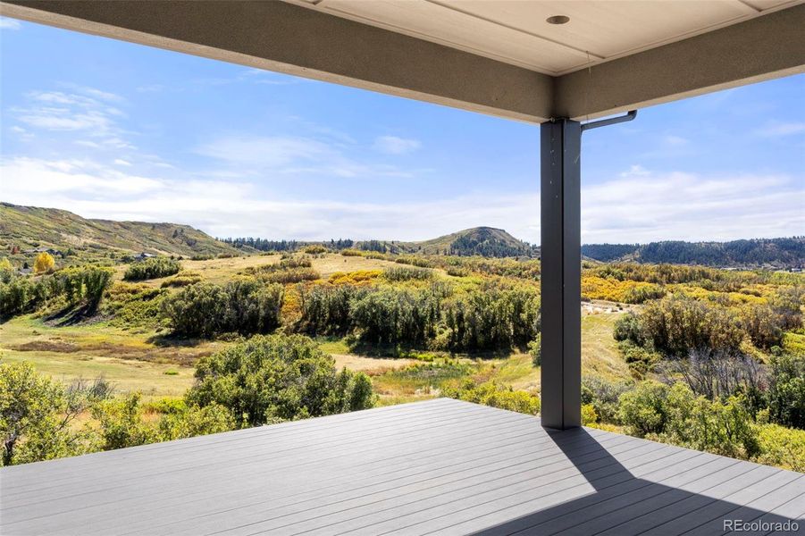 Exterior details and patio area of a home in , Castle Rock (Image 22).