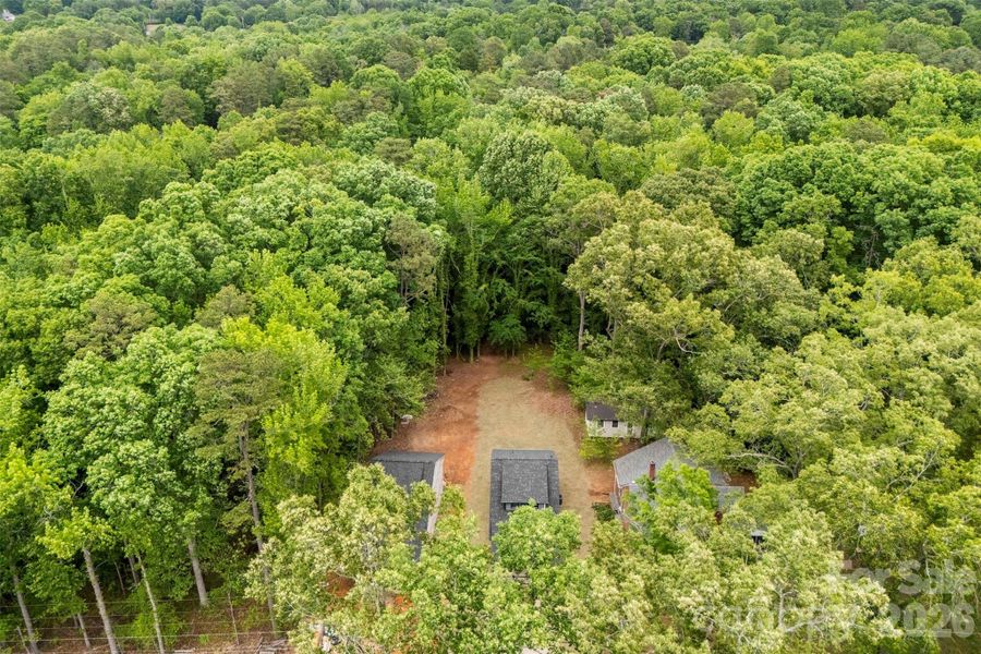 Natural landscape and outdoor views near  in Albemarle (Image 33).
