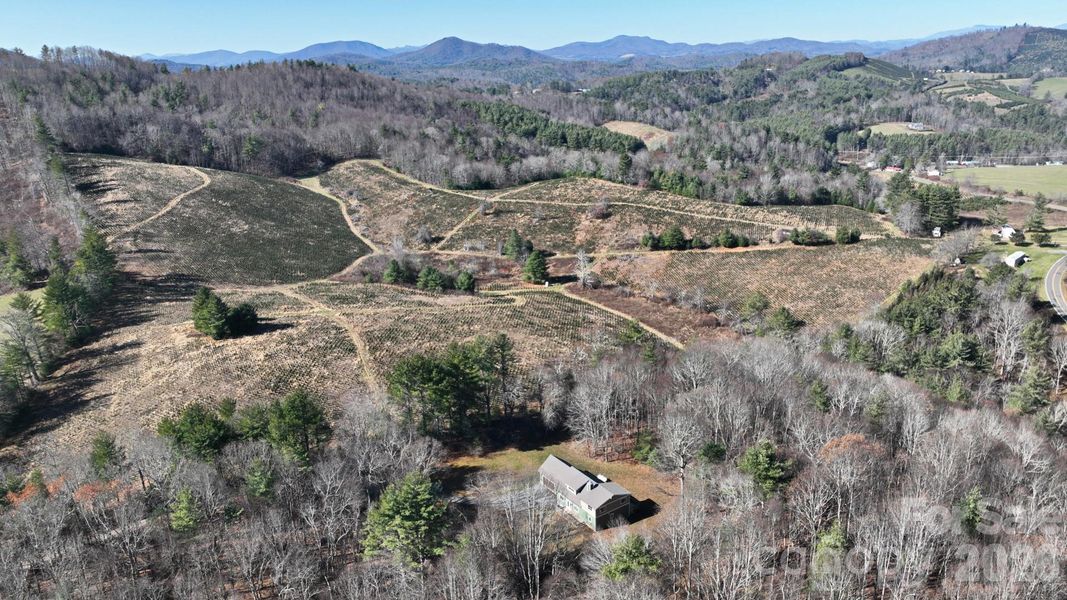 Natural landscape and outdoor views near  in Laurel Springs (Image 35).