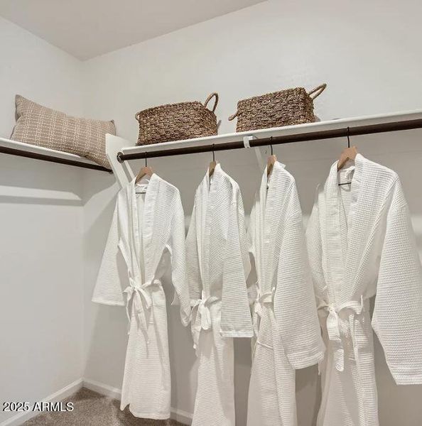 Owners Walk in Closet