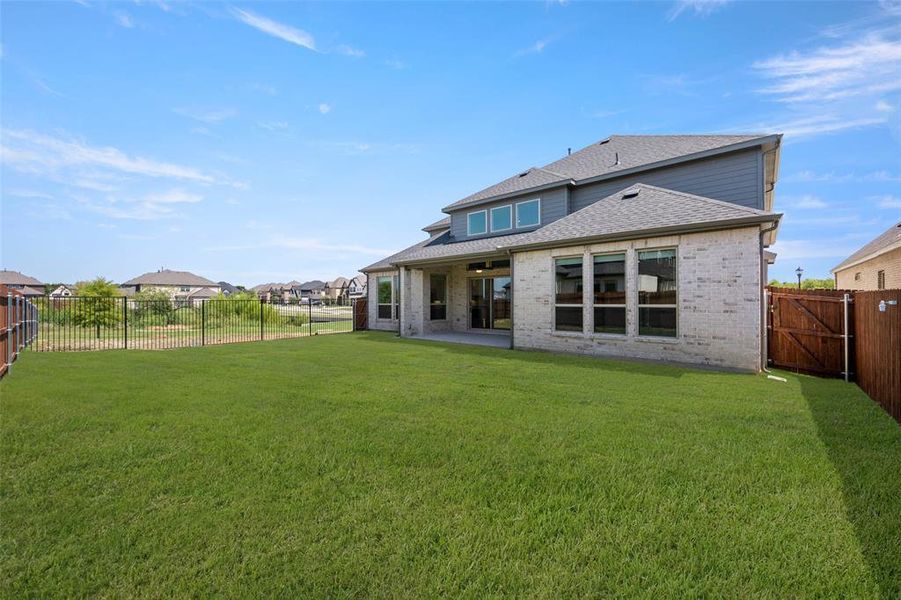 2100 Pelican- Back-1