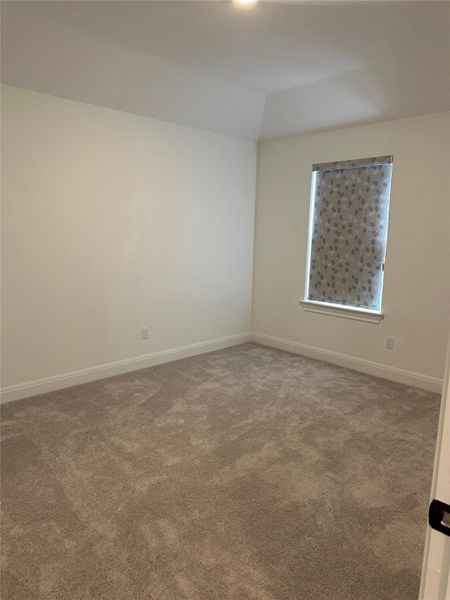 Carpeted room featuring a single window with a patterned roller shade Carpeted room featuring a single window with a patterned roller shade