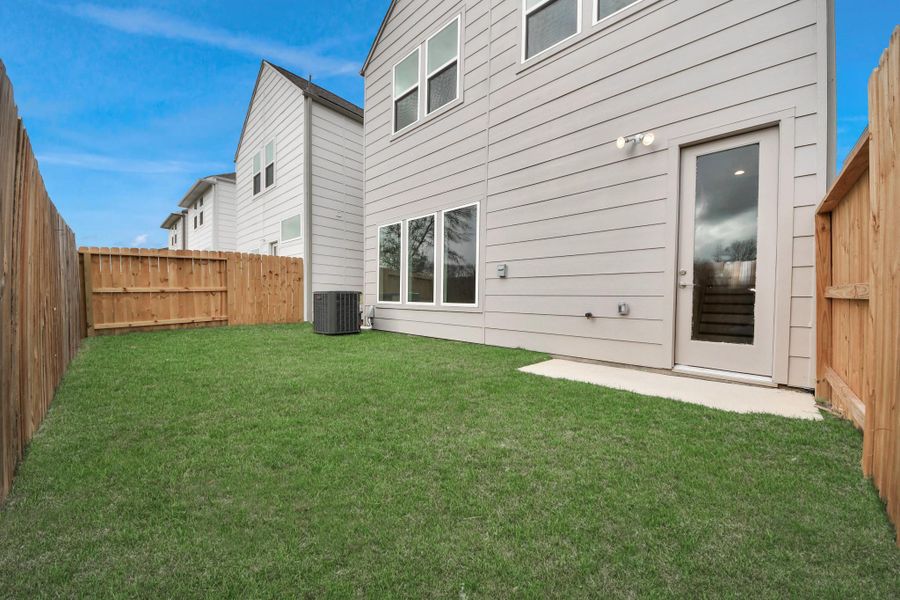 Backyard