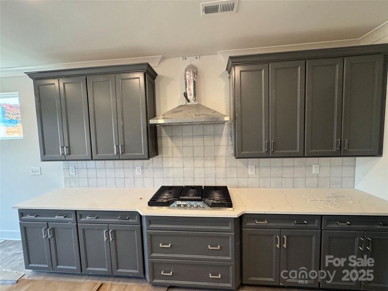 Gas cooktop & range hood