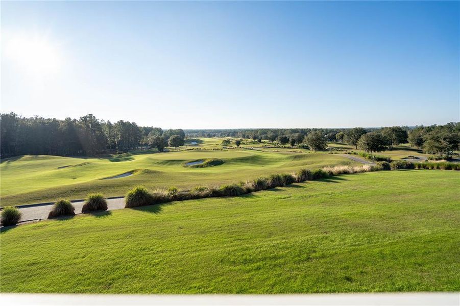 Natural landscape and outdoor views near Southern Hills Plantation in Brooksville (Image 36).