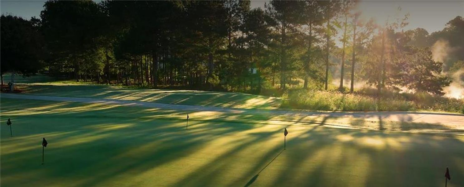 Natural landscape and outdoor views near  in Suwanee (Image 18).