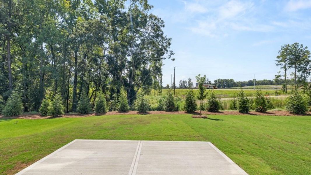 Natural landscape and outdoor views near Braselton Village in Braselton (Image 30).