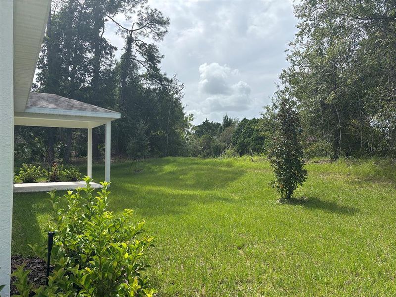 Exterior details and patio area of a home in Aspire at Palm Coast, Palm Coast (Image 3).