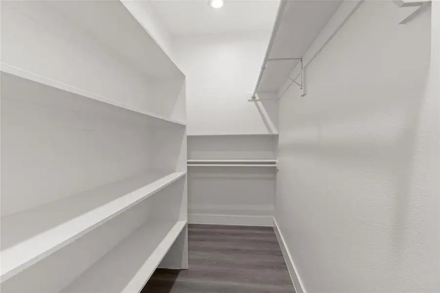Spacious closet featuring dark wood finished floors