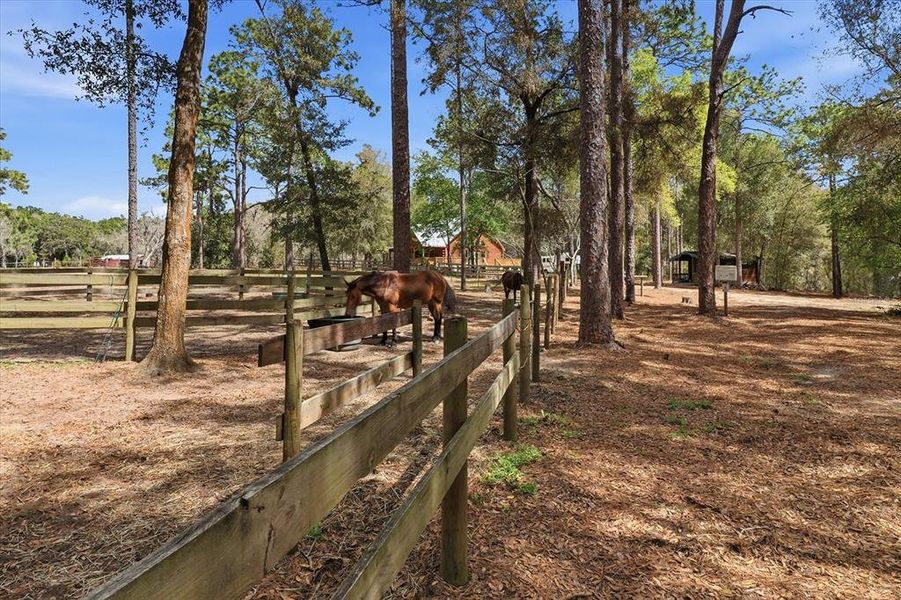 Image 50 of a home in .