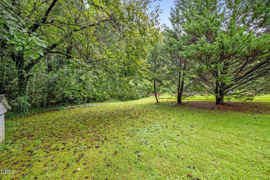 12-web-or-mls-P1078525