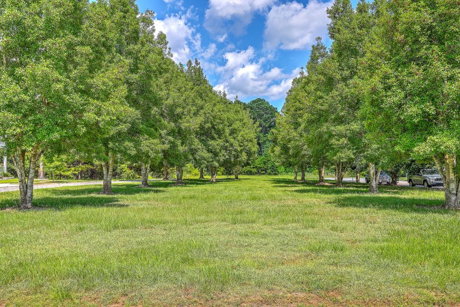 Natural landscape and outdoor views near Limehouse Village: Arbor Series in Summerville (Image 36). Natural landscape and outdoor views near Limehouse Village: Arbor Series in Summerville (Image 36).