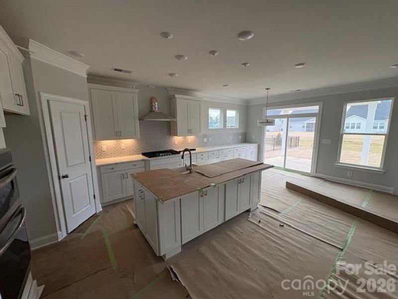 Construction progress on Homesite 195