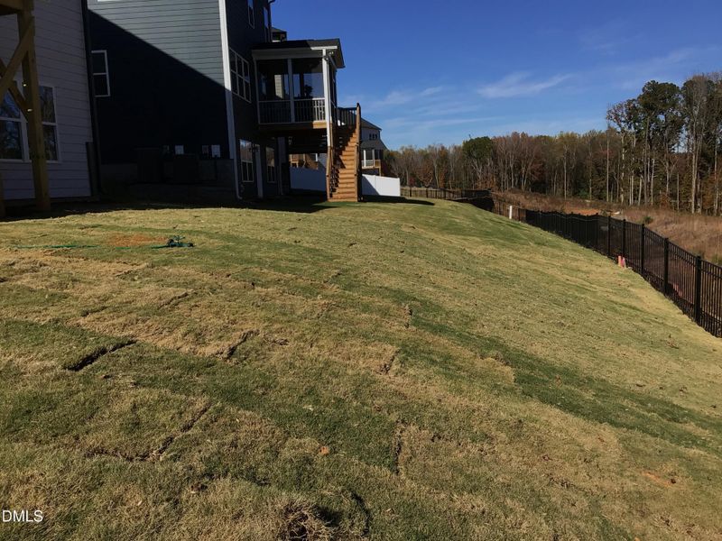 Photo_Nov_04_25 01-14-21 PM